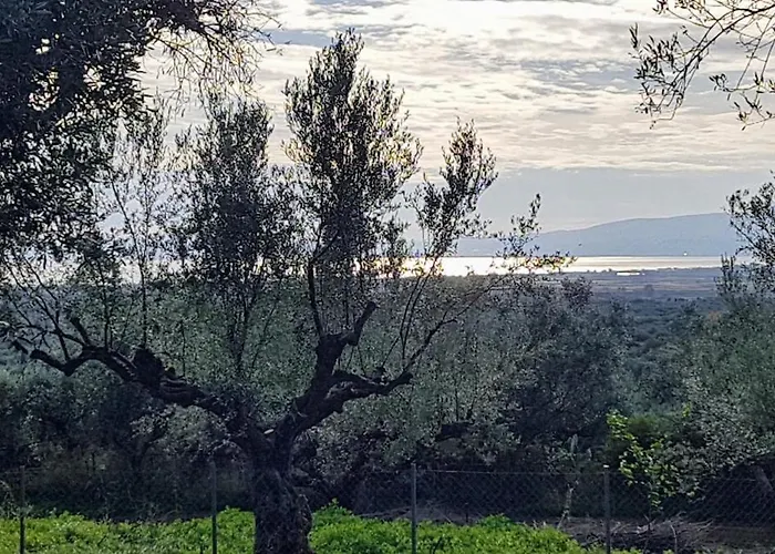 The Secret Garden At Georgia Holiday home *