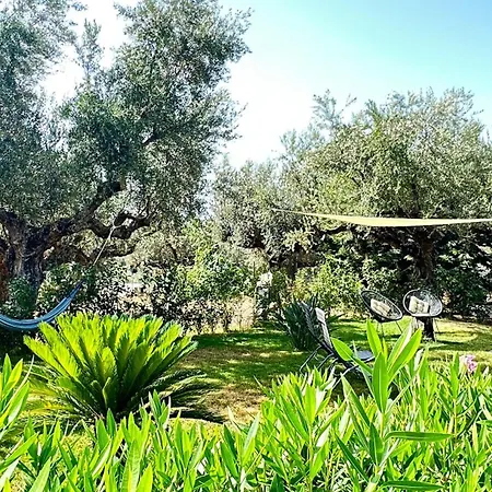 The Secret Garden At Georgia Kalamata
