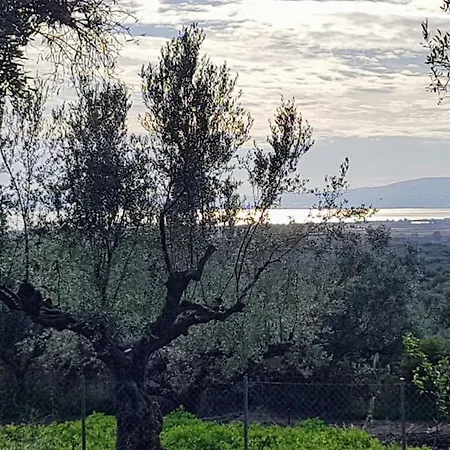 The Secret Garden At Georgia Vakantiehuis *