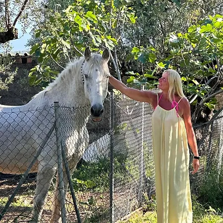 The Secret Garden At Georgia Casa vacanze