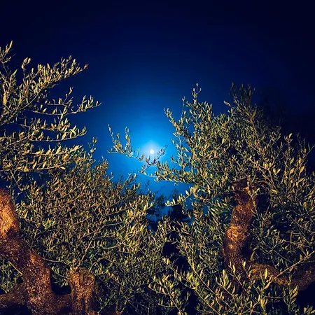 The Secret Garden At Georgia بيت للعطل