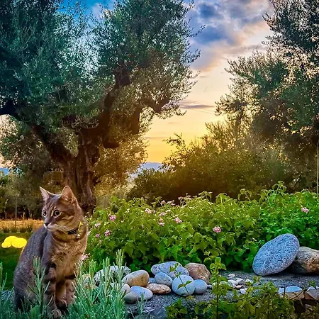 The Secret Garden At Georgia بيت للعطل كالاماتا